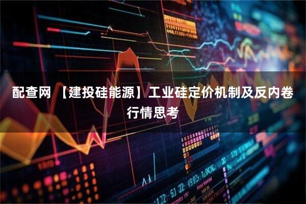 配查网 【建投硅能源】工业硅定价机制及反内卷行情思考