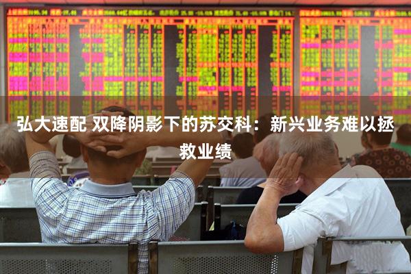 弘大速配 双降阴影下的苏交科：新兴业务难以拯救业绩